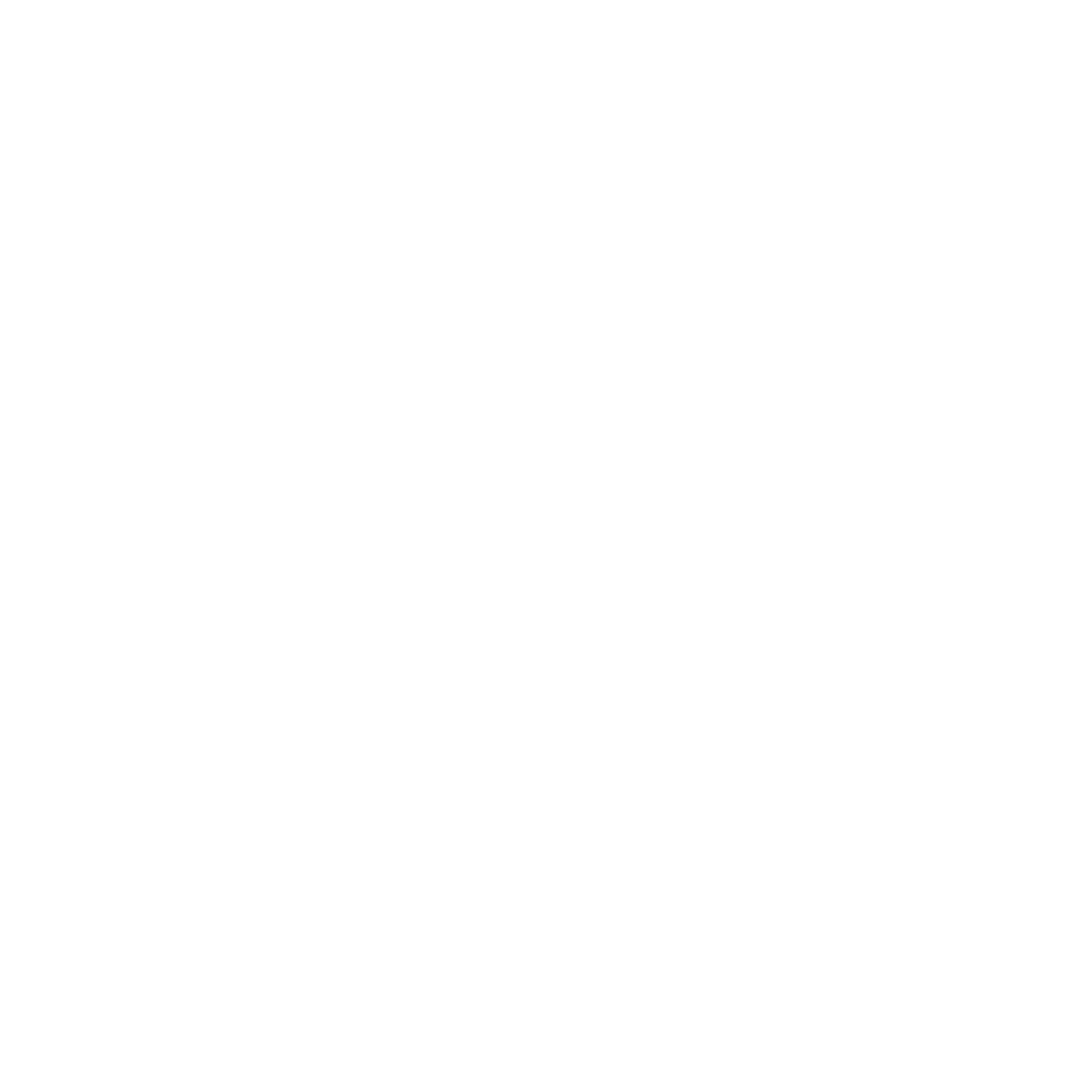 Logo Marathon Annecy